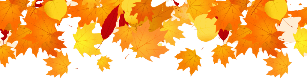 autumn falling leaves illustration